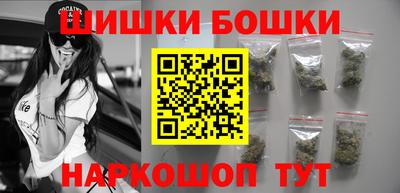 Альфа ПВП Сланцы