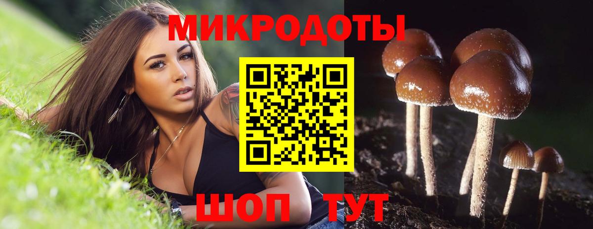 Орехово-Зуево  купить наркоту  Вход с VPN  Галлюциногенные грибы MAGIC MUSHROOMS 